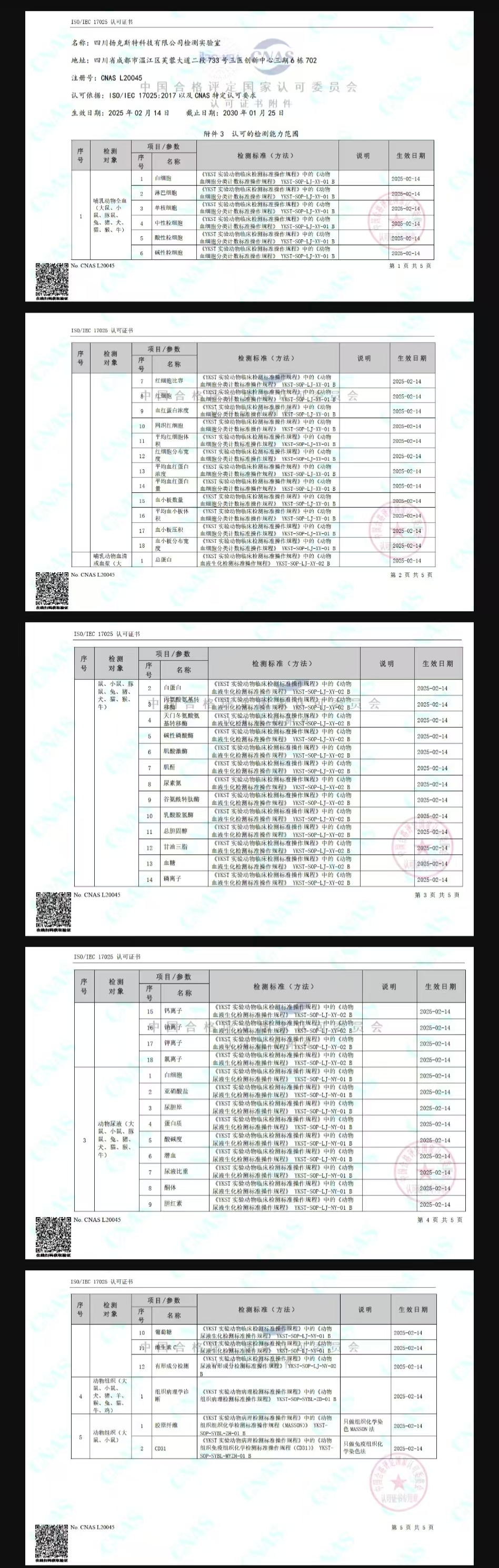 365202c4-de23-48d2-ade3-74d12c9290ad.jpg 365202c4-de23-48d2-ade3-74d12c9290ad.jpg